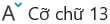 Cỡ chữ 13